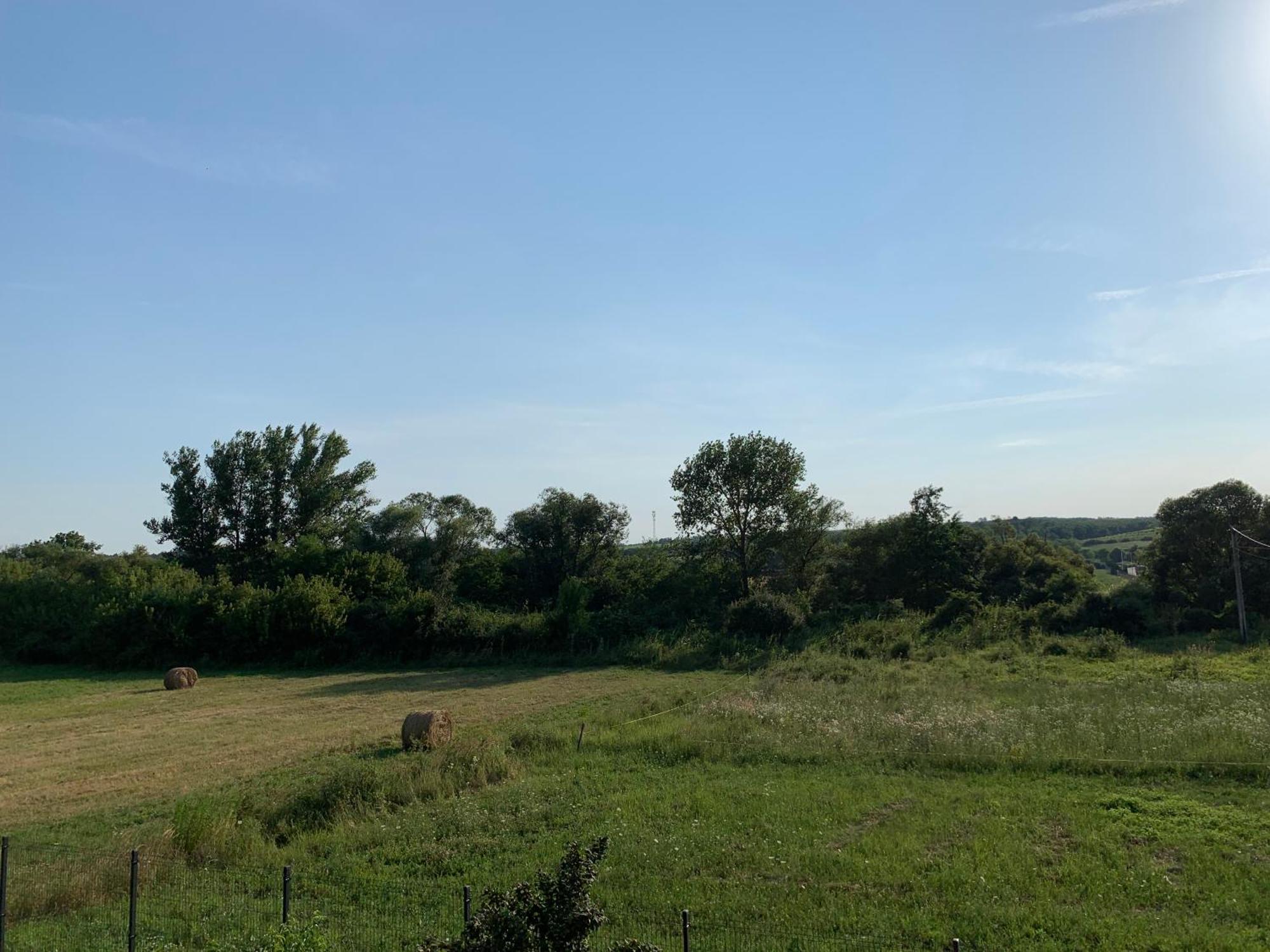 Feher Orchidea Apartman Egerszalók Exterior foto